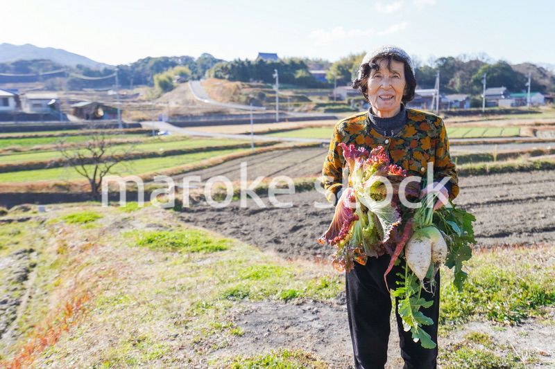 野菜の収穫をする高齢の女性