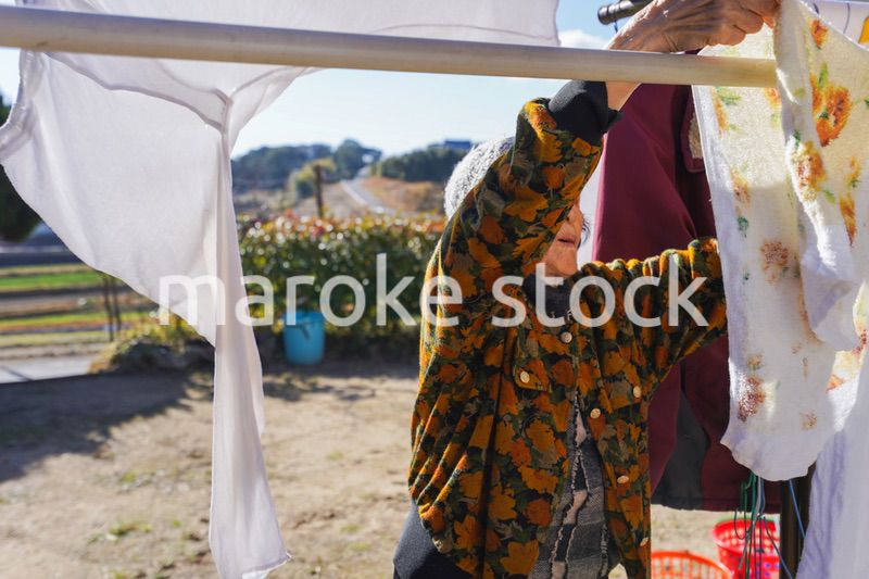 洗濯をする高齢の女性