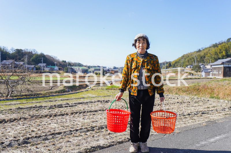 洗濯をする高齢の女性