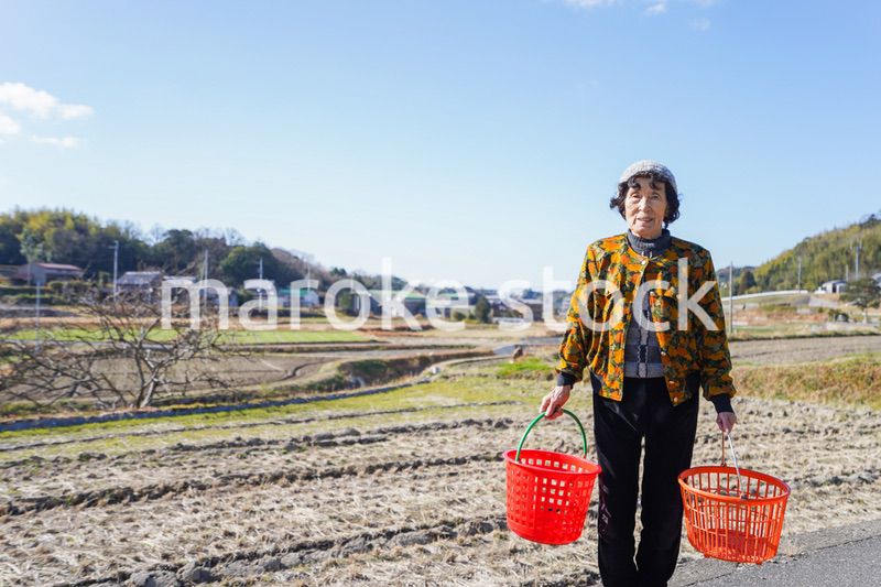 洗濯をする高齢の女性