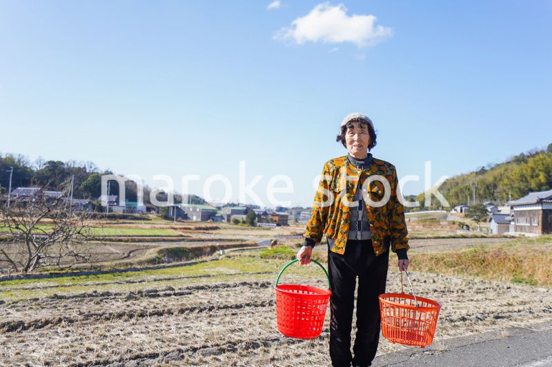 洗濯をする高齢の女性