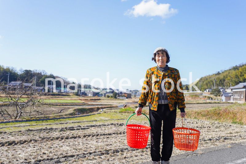 洗濯をする高齢の女性
