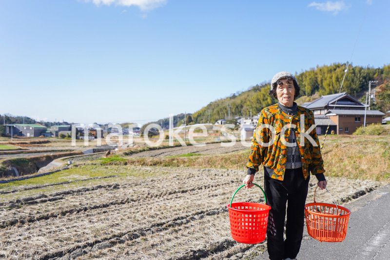 洗濯をする高齢の女性