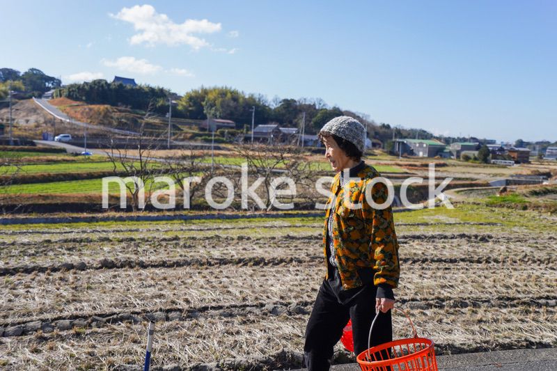 洗濯をする高齢の女性