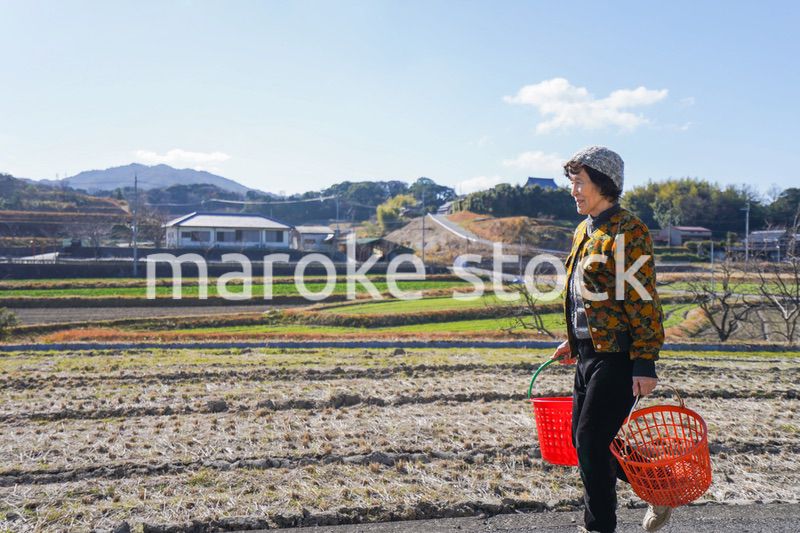 洗濯をする高齢の女性