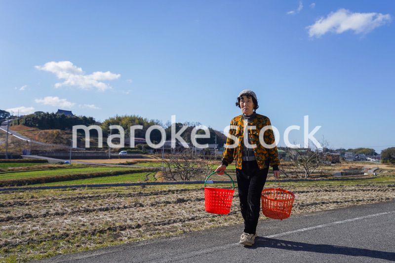 洗濯をする高齢の女性