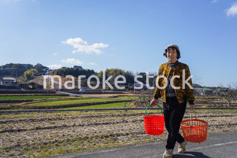 洗濯をする高齢の女性