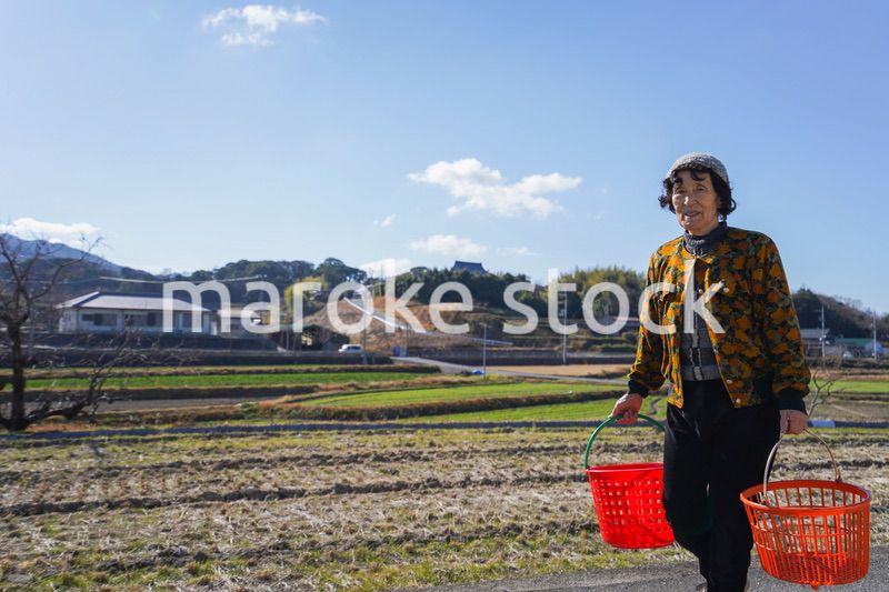 洗濯をする高齢の女性