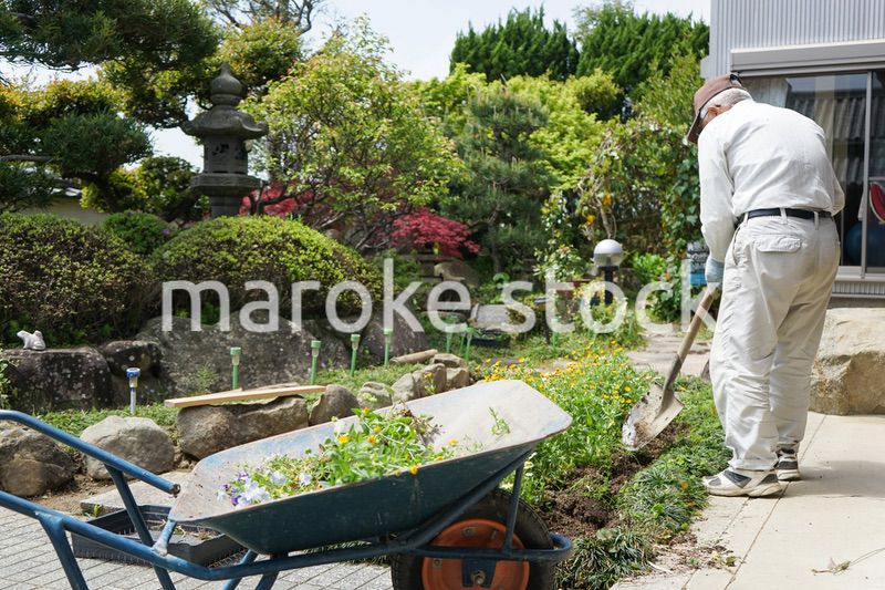 ガーデニングをする高齢男性