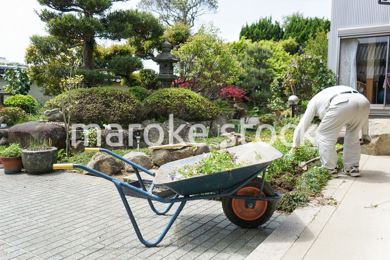 ガーデニングをする高齢男性