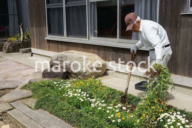 ガーデニングをする高齢男性