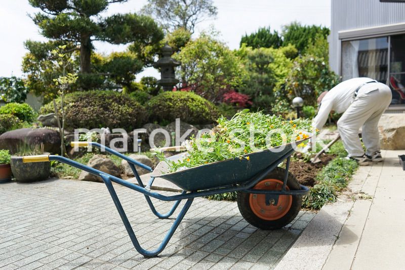 ガーデニングをする高齢男性