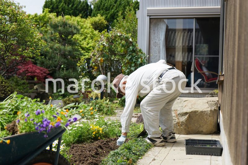 ガーデニングをする高齢男性