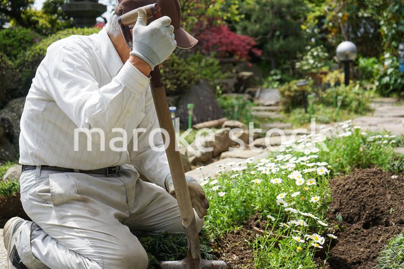 ガーデニングをする高齢男性