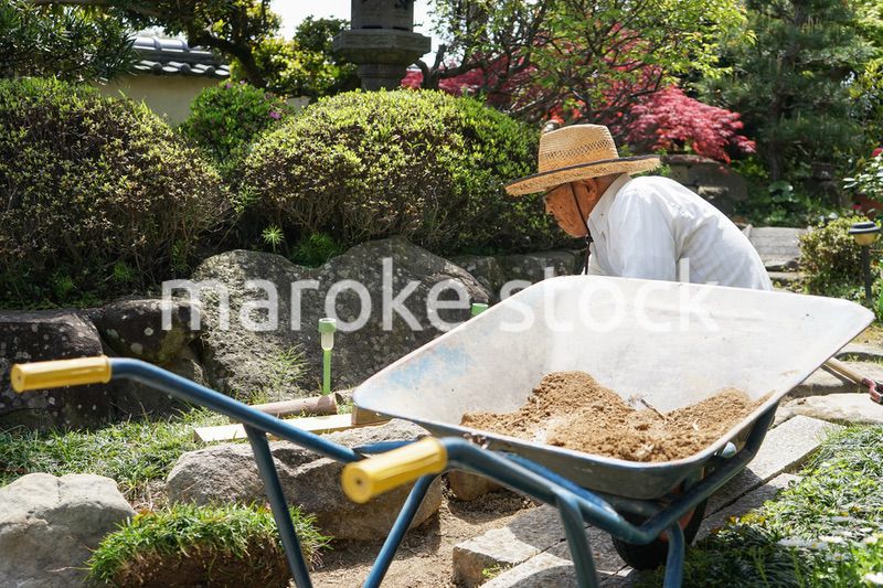 ガーデニングをする高齢男性