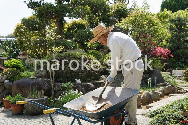 ガーデニングをする高齢男性