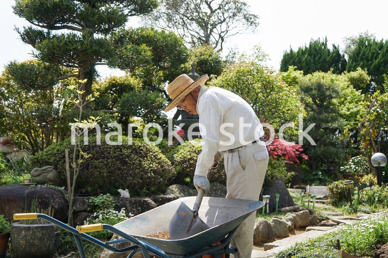 ガーデニングをする高齢男性