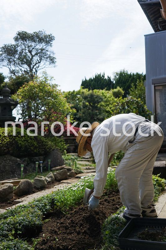 ガーデニングをする高齢男性