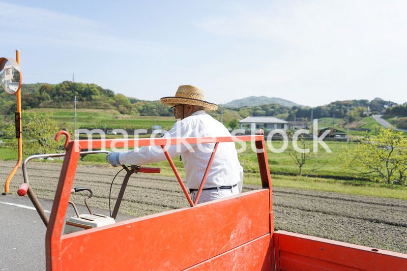 ガーデニングをする高齢男性