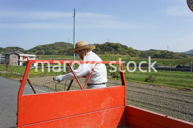 ガーデニングをする高齢男性