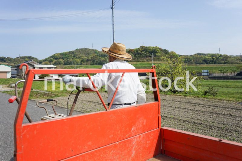 ガーデニングをする高齢男性