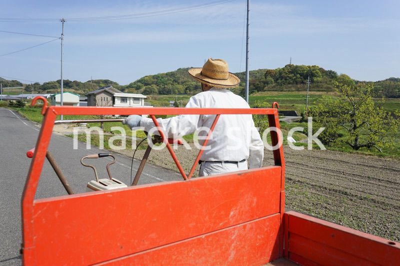 ガーデニングをする高齢男性