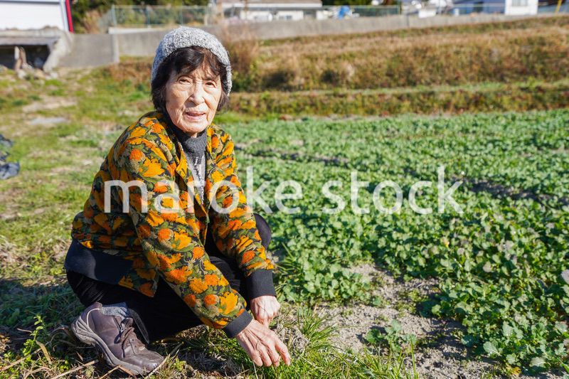 草抜きをする高齢の女性