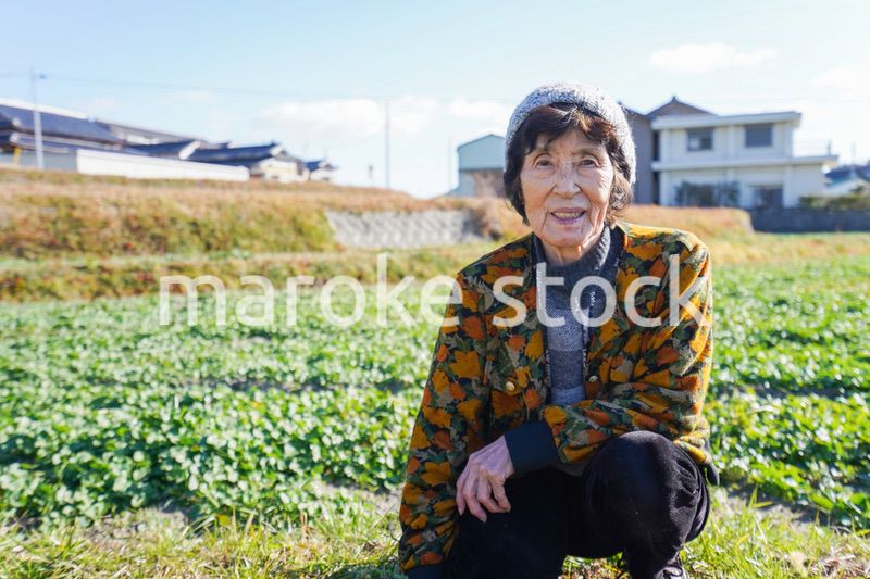 草抜きをする高齢の女性
