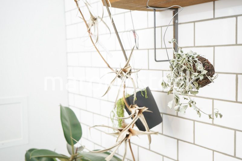 キッチン 食器イメージ