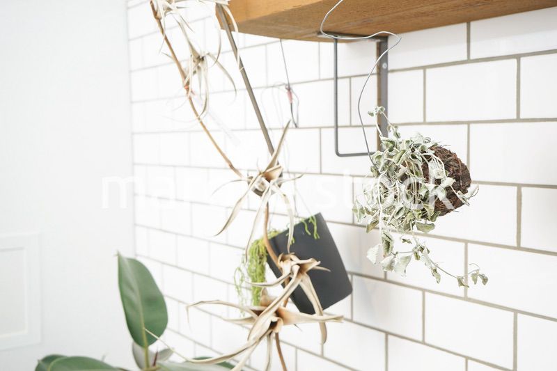 キッチン 食器イメージ