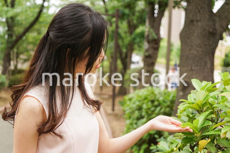 植物を鑑賞する若い女性