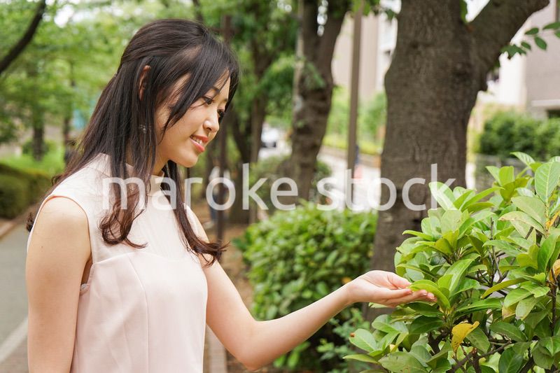 植物を鑑賞する若い女性