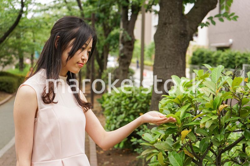 植物を鑑賞する若い女性