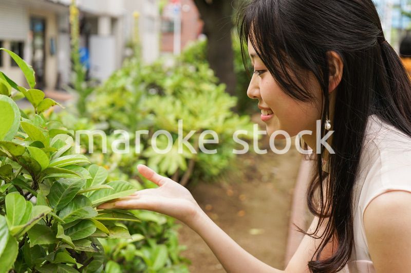 植物を鑑賞する若い女性