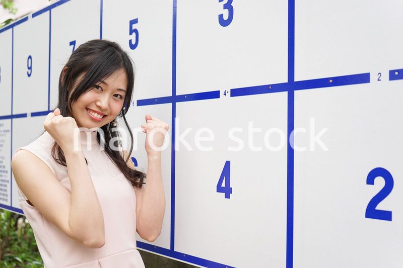 選挙イメージ