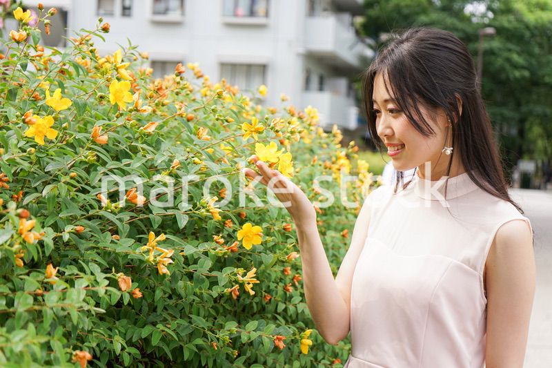 植物を鑑賞する若い女性