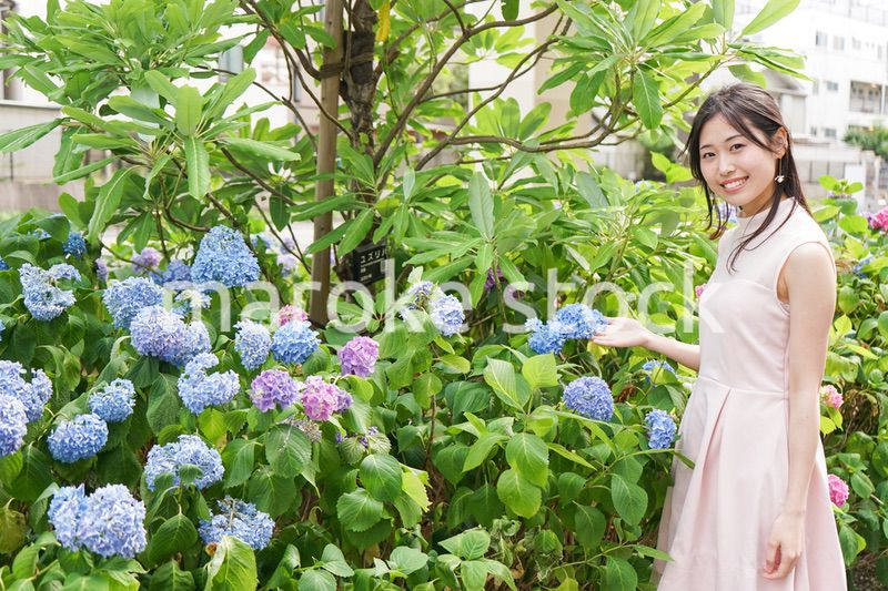 植物を鑑賞する若い女性