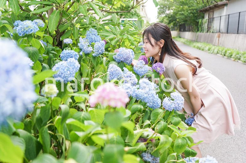 植物を鑑賞する若い女性