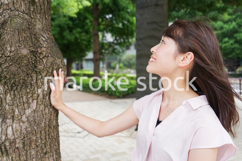 都会たそがれイメージ