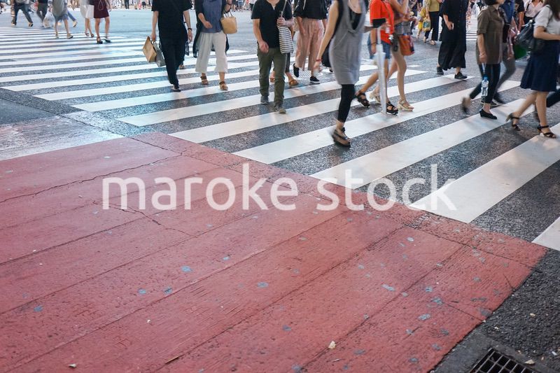横断歩道