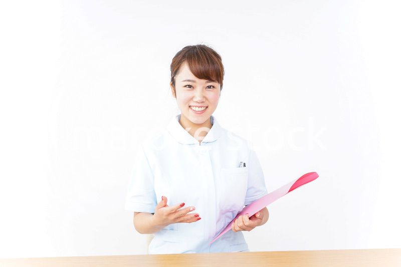 ナース ファイル カルテ