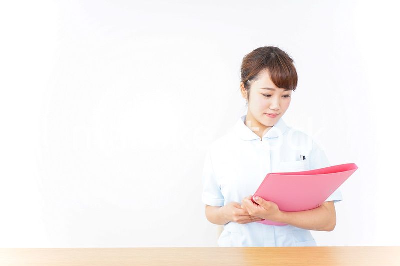 ナース ファイル カルテ