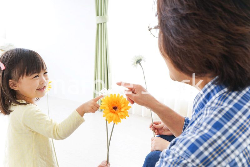 祖母に花をあげる子ども