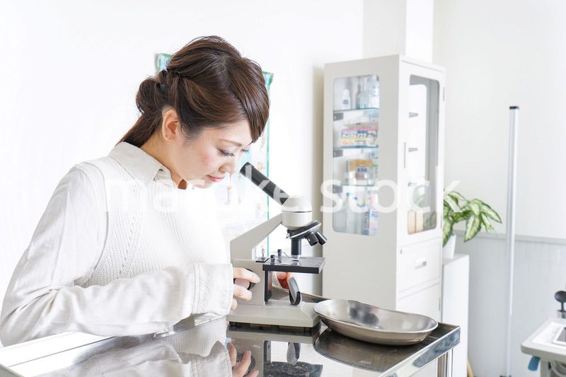 研究をする若い女性