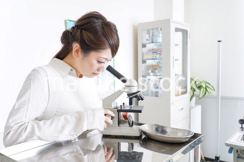 研究をする若い女性