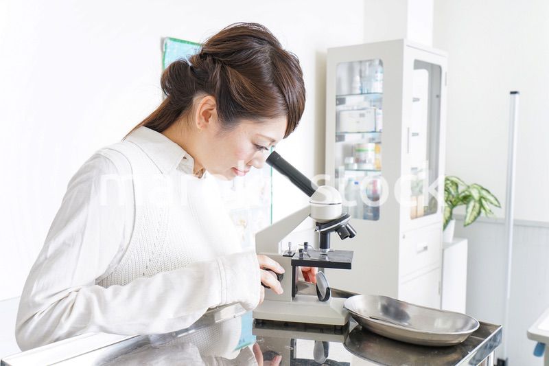 研究をする若い女性