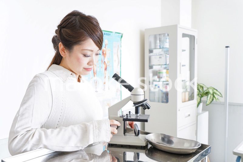 研究をする若い女性