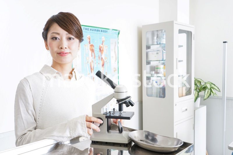 研究をする若い女性