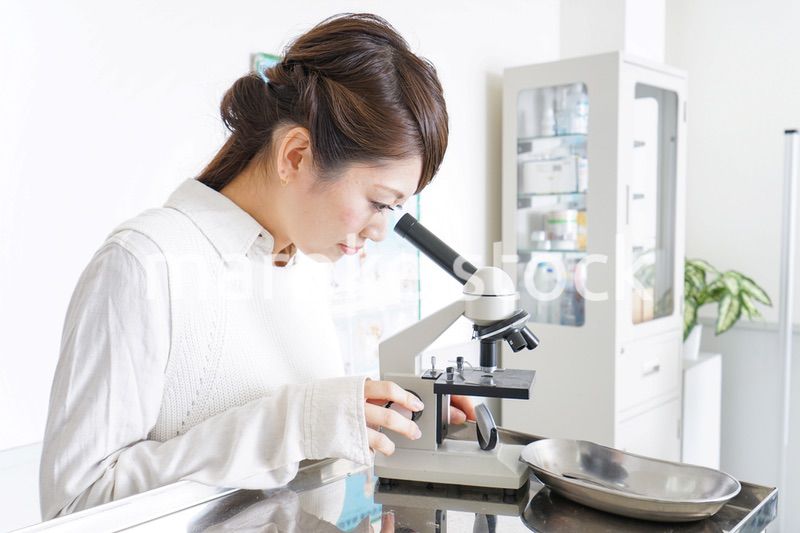 研究をする若い女性