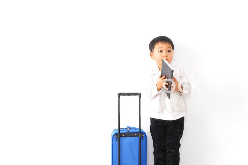 出張に行くビジネスマン